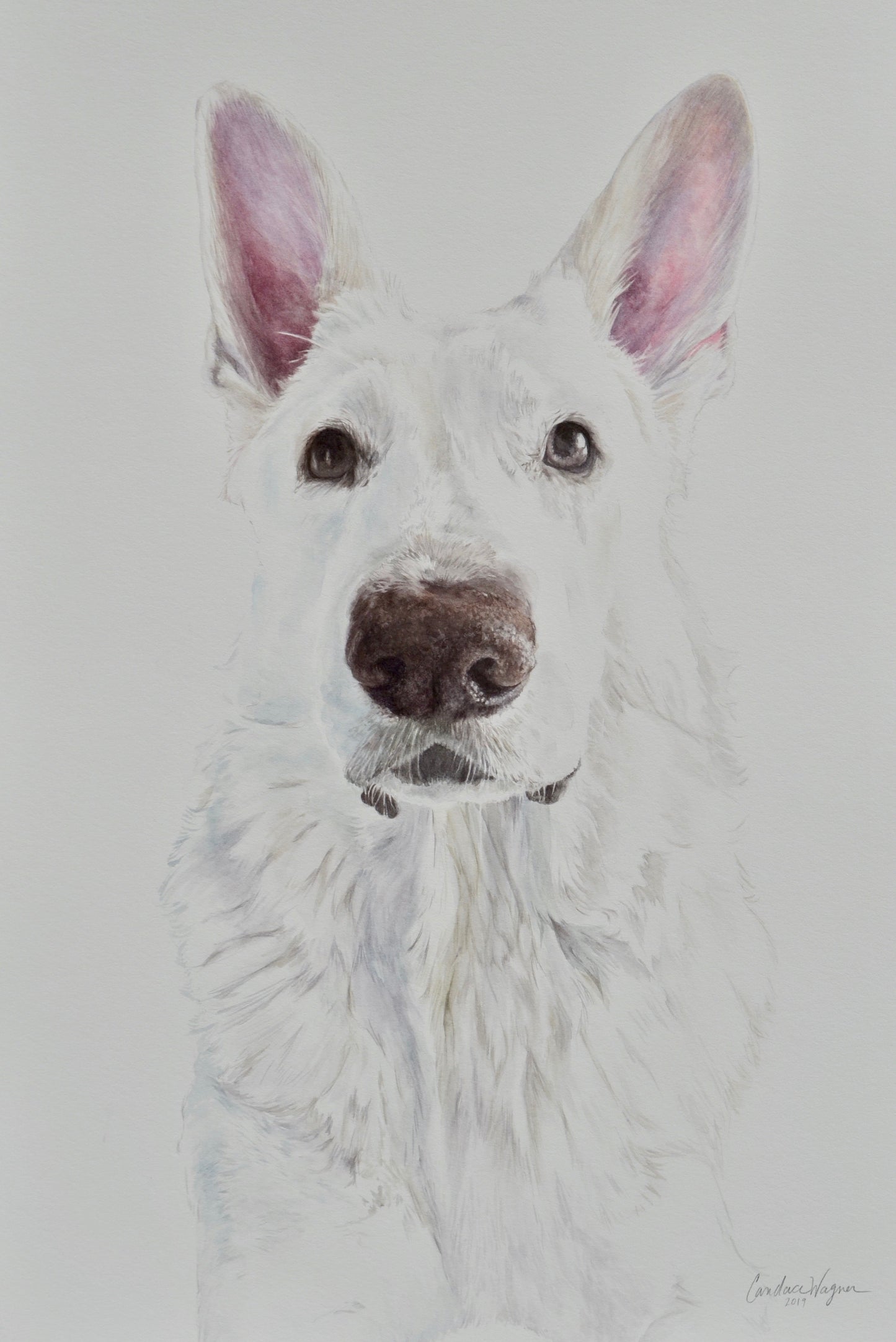 Watercolor Painting