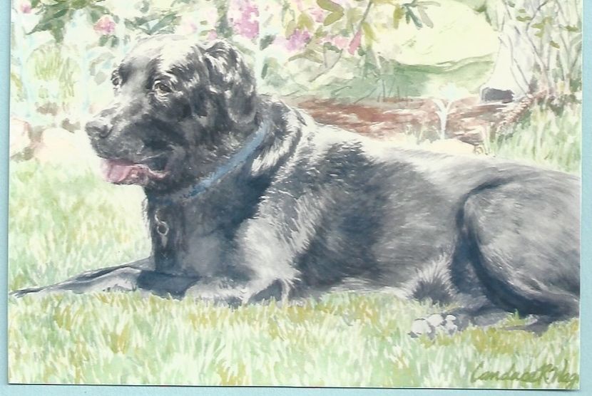 Watercolor Painting