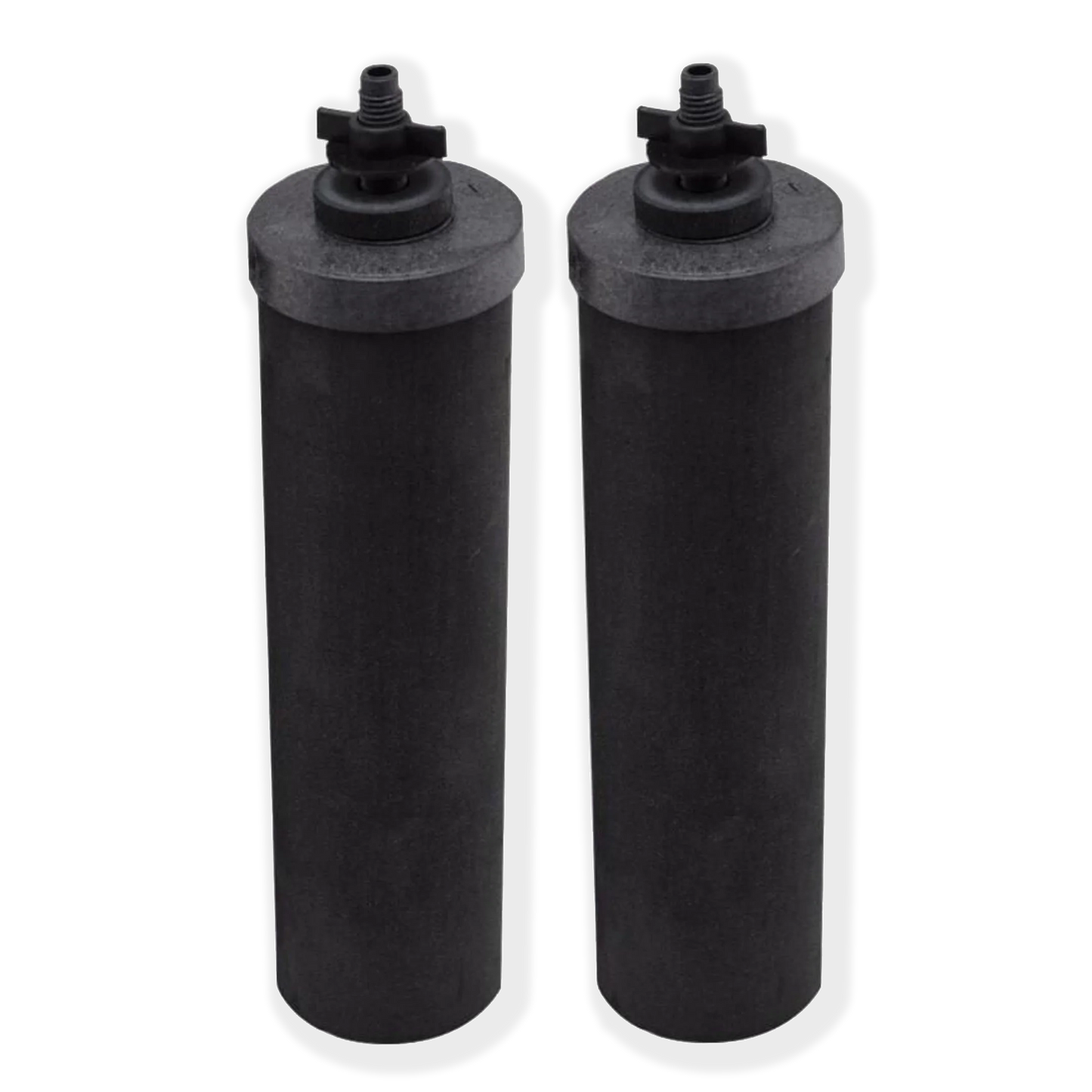 Test - Black Berkey® Purification Elements (Set of 2)