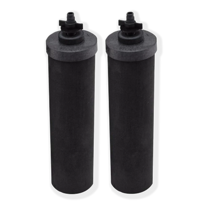 Test - Black Berkey® Purification Elements (Set of 2)